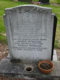 image of grave number 258536